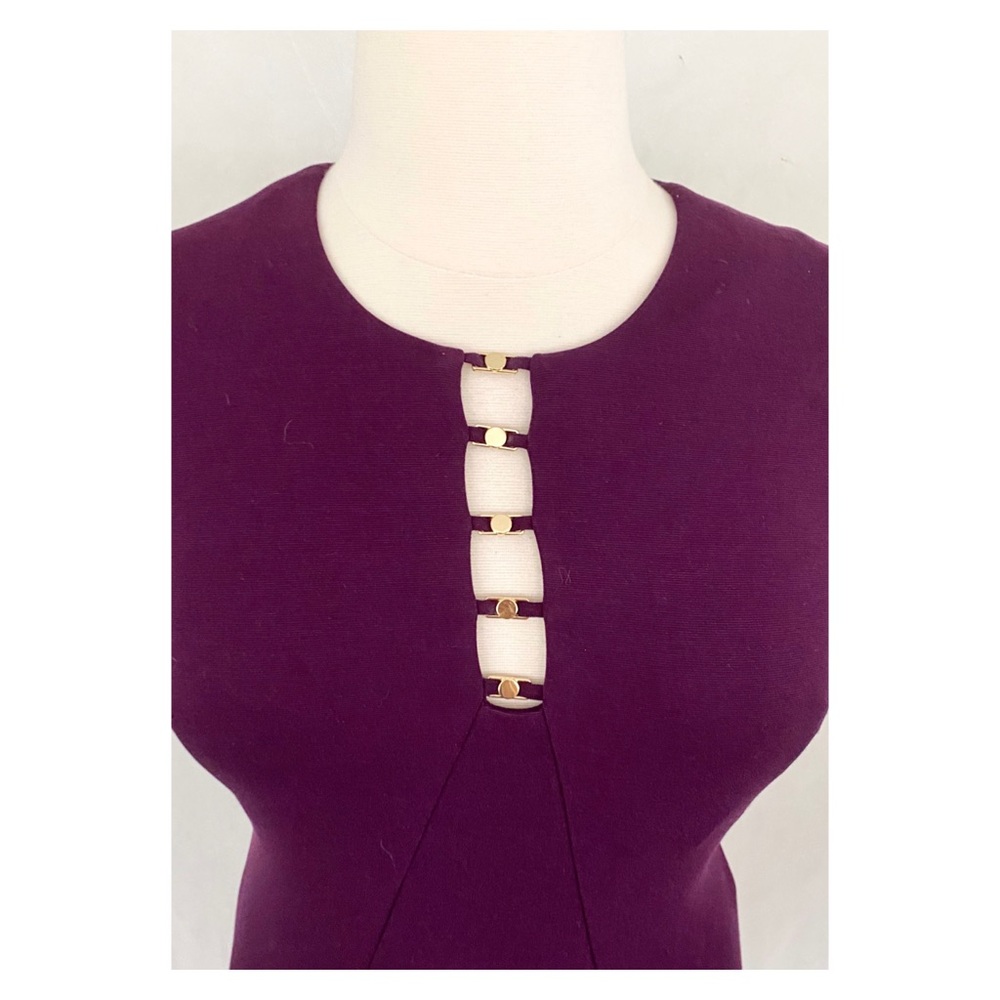 Calvin Klein Sleeveless Eggplant Gold Rivet Dress - Picture 4 of 11